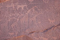 Ancient Petroglyphs of giraffe, ostrich, and longhorned cow being driven by a human, featured in the desert region, Gilf Kebir, Egypt.