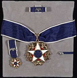 Medal and accoutrements, including the service ribbon, miniature and lapel badge