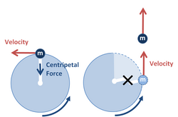 Ball in circular motion has string cut and flies off tangentially.