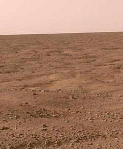 Patterned ground in the polar region of Mars
