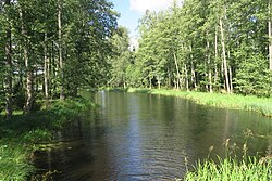 Kuivajärvi, the Natura 2000 area in Tammela, Kanta-Häme, Finland