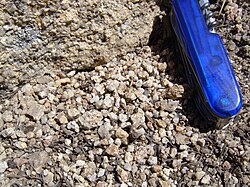 Grus sand and the granitoid from which it is derived