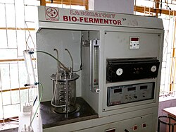 A laboratory fermentation vessel