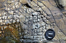 Jointed rocks as seen in the Bar Harbor Formation, Bar Harbor, Maine.