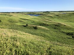 The Great Plains as seen in Minnesota's upland prairie at Glacial Lakes State Park