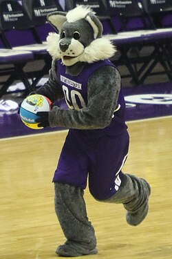 Northwestern University Mascot: Willie the Wildcat