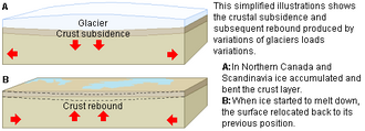 Isostatic pressure by a glacier on the Earth's crust