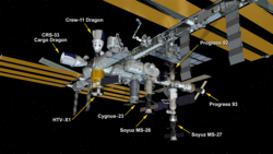 Rendering of the ISS and visiting vehicles as of 1 December 2025[update]. Live link at nasa.gov.