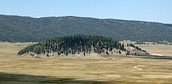 A forested lava dome in the midst of the Valle Grande, the largest meadow in the Valles Caldera National Preserve, New Mexico, United States
