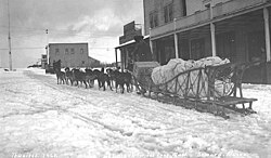 caption reads "Ready for The Long Mush, Seward, Alaska" (click photo for further information) ca 1914