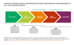List of UN Food and Agriculture Organization recommended responses across land degradation stages from improving land management to full-scale land restoration.