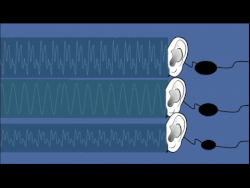 Loudness perception involves the integration of sound energy over a brief time window (around 200 ms), during which greater basilar‑membrane displacement and increased nerve‑firing rates contribute to a stronger loudness signal.