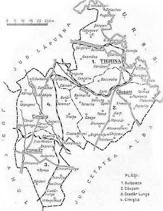 Map of Tighina County as constituted in 1938.