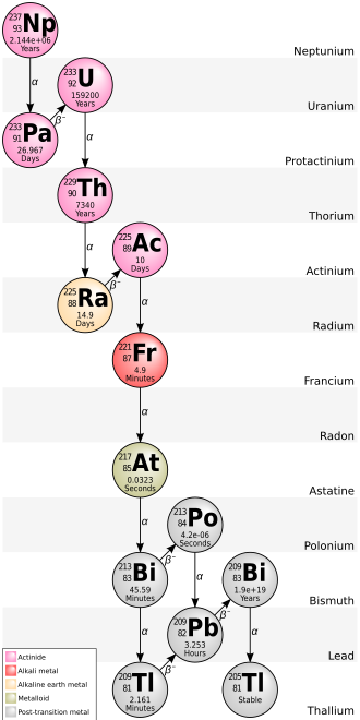 The decay chain of neptunium-237
