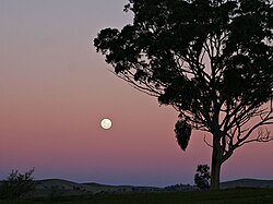 A full moon rising, as seen through the Belt of Venus. A very small part of the Earth's shadow (dark blue) is also visible in this image, but the horizon here is too high for more of the Earth's shadow to be seen.