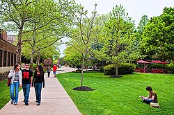 Rutgers University–Camden's quad walk