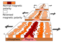 Magnetic stripes are the result of reversals of the Earth's field and seafloor spreading. New oceanic crust is magnetized as it forms and then it moves away from the ridge in both directions. The models show a ridge (a) about 5 million years ago (b) about 2 million years ago and (c) in the present.[1]