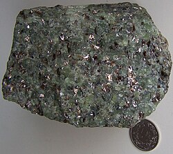 Phlogopite bearing peridotite from Finero, Italy. Coin of 1 Swiss franc (diameter 23 mm) for scale. The phlogopites are the glittering minerals surrounded by the green groundmass of olivine.