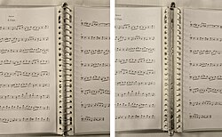 Dutch "Multo" 23-ring binder showing rings closed and open