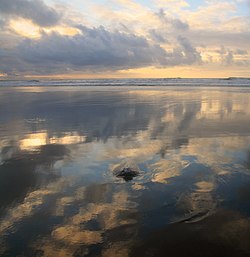 Low tide at Ocean Beach in San Francisco, California, U.S.