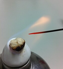 Sterilization of an inoculation needle via alcohol burner