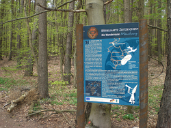 Monks Way, a themed walk near Hochspeyer, Germany