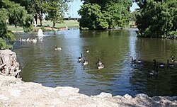 Brandt Park, "The Duck Pond"
