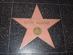 Murphy's star on the Hollywood Walk of Fame.