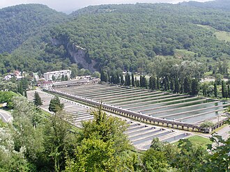 A trout farm in Sochi, Russia