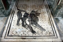 Cave canem Roman mosaic at the entrance to the House of the Tragic Poet in Pompeii, Italy, 1st century AD