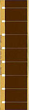 A strip of single-perf 16 mm film with Super-16–sized frames