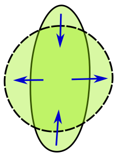 An elongated shape can be made more round while keeping its perimeter fixed and increasing its area.