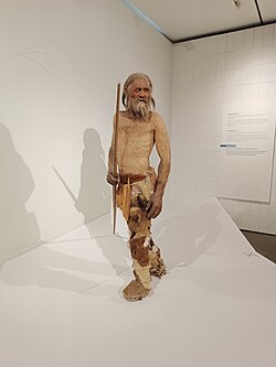 Reconstruction of Ötzi the Iceman who lived between 3350 and 3105 BC in the Ötztal Alps (Austria–Italy border) and he wore leggings that look like trousers
