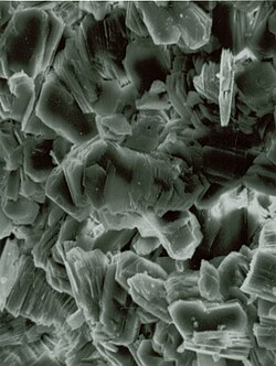Hexagonal sheets of the clay mineral kaolinite (SEM image, 1,340× magnification)