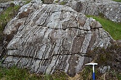 Gneiss, displaying characteristic darker (melanocratic) and lighter (leucocratic) bands