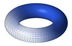A toroidal shape (the torus)