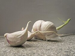 Garlic plants