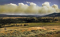 Wildfire in Yellowstone National Park produces a pyrocumulus cloud