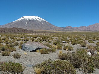 Lascar and vegetation