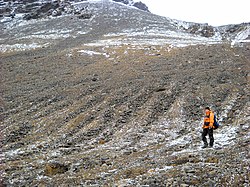 Periglacial stone stripes in Antarctica[12]