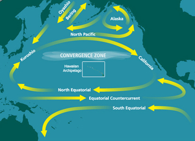 Currents in the North Pacific Ocean.