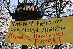 Hambach Forest protest against coal mine expansion