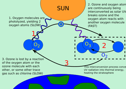 Ozone-oxygen cycle in the ozone layer