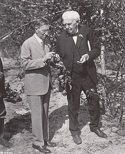 Edison and Harvey S. Firestone examining a rubber plant on Edison's 81st birthday