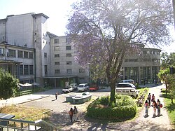 School of Medicine, North Campus