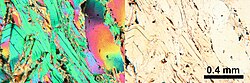 Photomicrographs of a thin section containing phlogopite. In cross-polarized light on the left, plane-polarized light on the right.