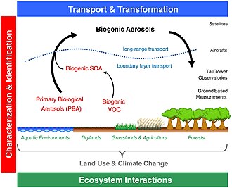 Biogenic volatile organic compounds (BVOCs) emitted by plants act as a precursor to secondary organic aerosols (SOA).