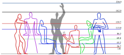 Le Corbusier's Modulor scale of proportions