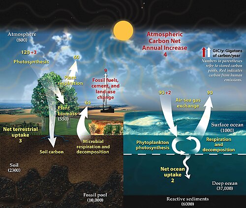 This diagram of the fast carbon cycle shows the movement of carbon between land, atmosphere, soil and oceans in billions of tons of carbon per year. Yellow numbers are natural fluxes, red are human contributions in billions of tons of carbon per year. White numbers indicate stored carbon.