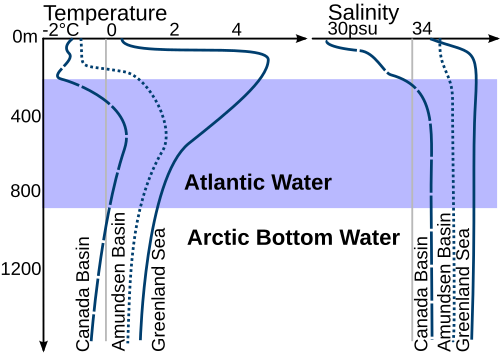 Density structure of the upper 1,200 m (3,900 ft) in the Arctic Ocean. Profiles of temperature and salinity for the Amundsen Basin, the Canadian Basin and the Greenland Sea are sketched.